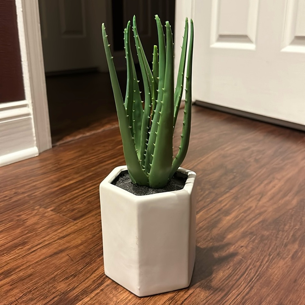 TARGET Faux Succulent